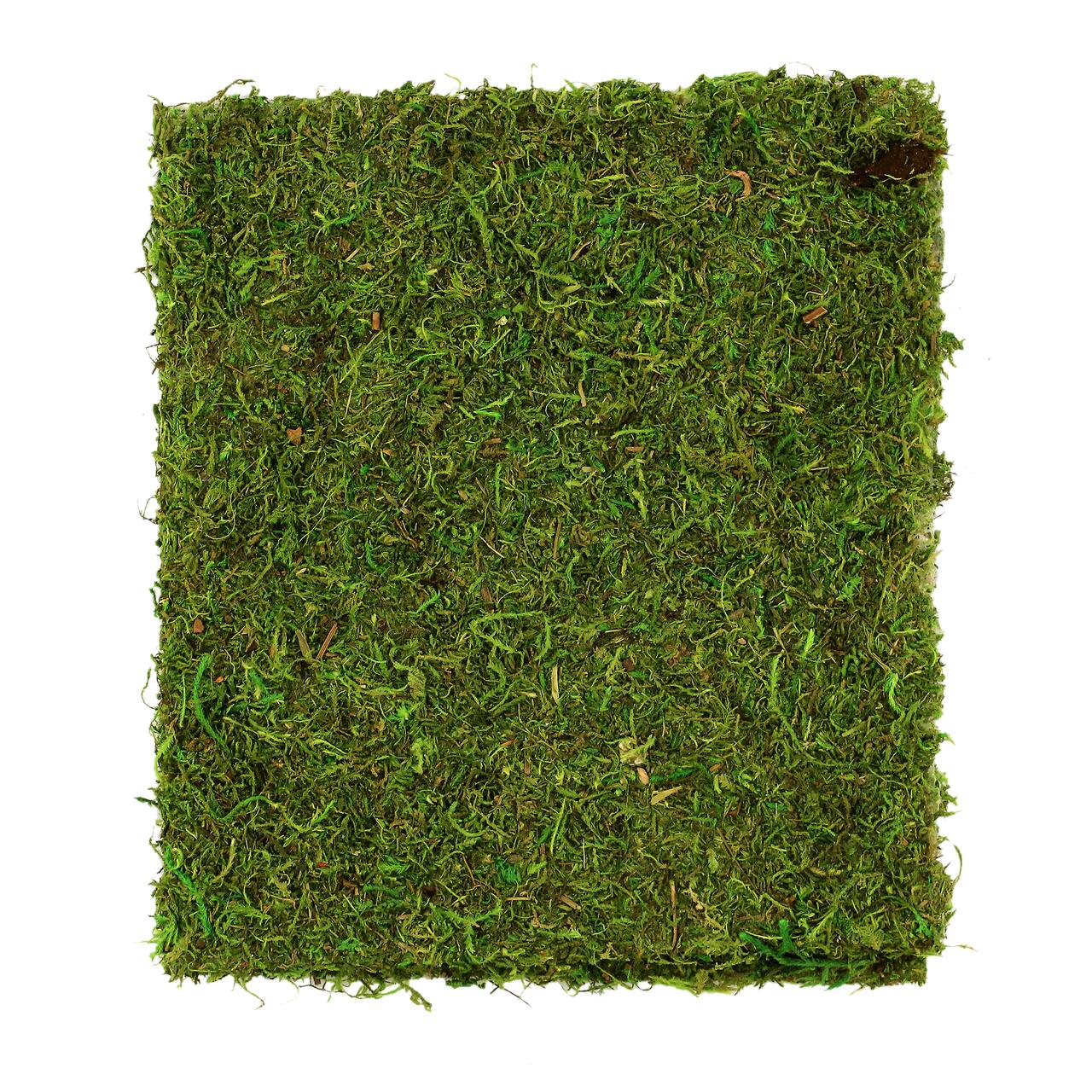 Moss Mat by Ashland&#xAE;